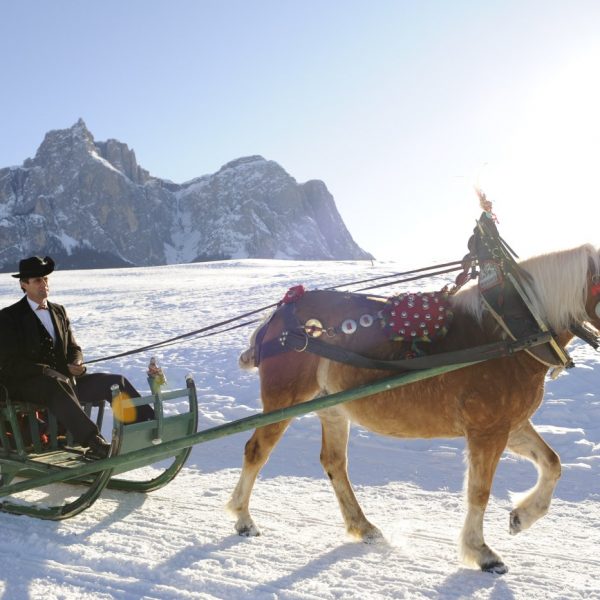 bildergalerie morodeserhof suedtirol dolimiten urlaub auf dem bauernhof 3