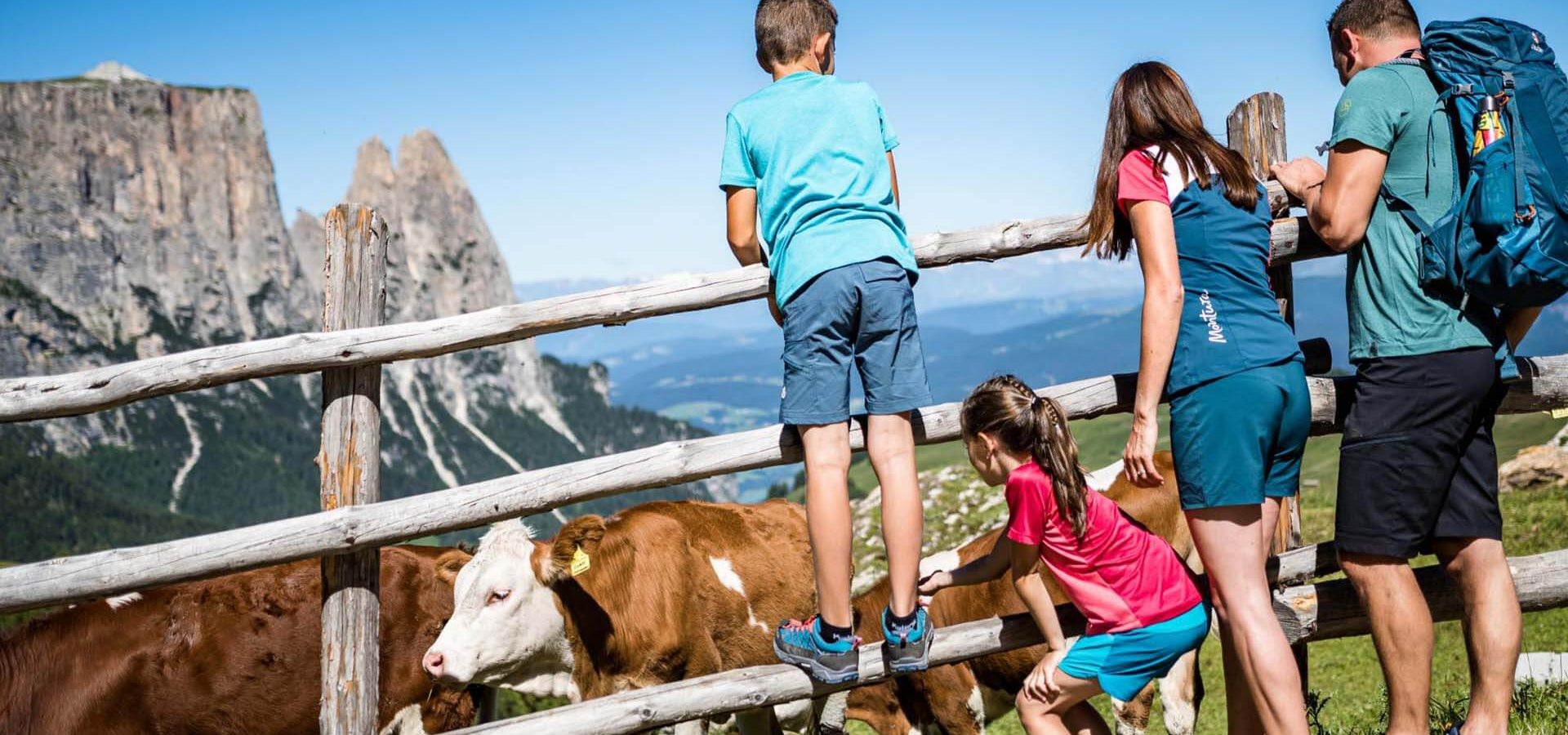 morodeserhof in kastelruth sommerurlaub auf dem bauernhof suedtirol dolomiten italien 3