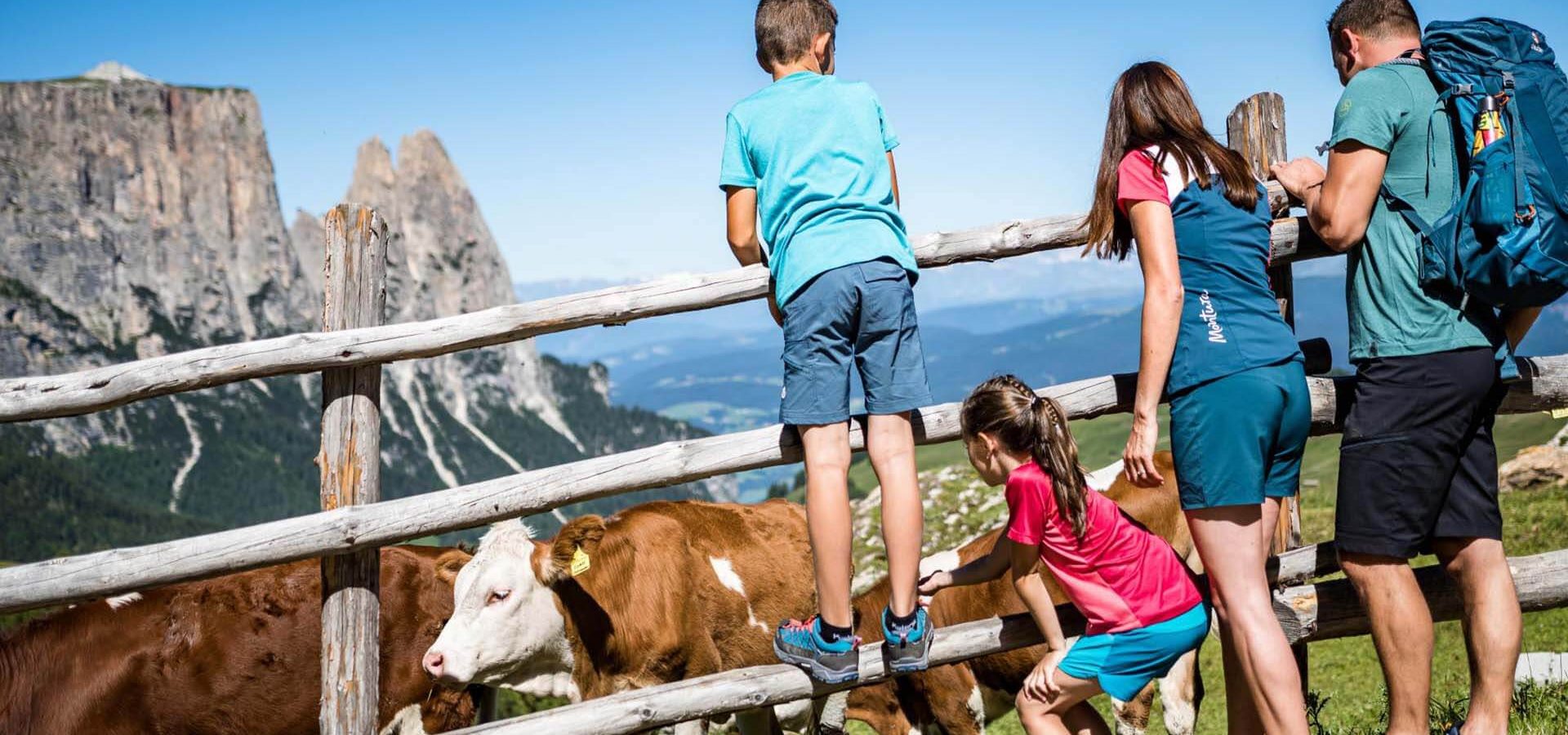 morodeserhof in kastelruth sommerurlaub auf dem bauernhof suedtirol dolomiten italien 3